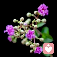我的感悟:去虛偽留真誠，先承認再成長，學會說”對不起，我錯了”，要知道承認是最有力量的，我錯了不重要，重要的是我敢于承認、承擔，這就是成長。配圖