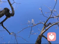 選擇:當我把問題放在別人身上時，我會選擇抱怨指責;當我把問題放在自己身上時，我會選擇內心遷善！當我把責任放在別人身上時，我會選擇置身事外，當我把責任放在自己身上時，我會選擇主動并全力以赴。伙伴們和我共勉吧!你可愿意？??配圖