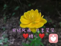 改變一個人的思維和思路，來源于一個人看問題的視角。優勢視角看生命，生命就無限精彩，一成不變看生命，生命黯淡無光！配圖