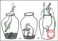 愛不需要努力，只需要愛，一切都是順其自然的事配圖