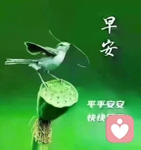 我的體悟:接納原生家庭的一切，跟父母多談健康;跟伴侶多談戀愛(ài)的美好，奮斗的默契，感恩彼此的一路陪伴，切忌翻舊賬;跟女兒談生活、學(xué)習(xí)的感受，培養(yǎng)女孩學(xué)會(huì)愛(ài)的表達(dá)……情商;跟兒子談責(zé)任，培養(yǎng)他有擔(dān)當(dāng)，不推卸責(zé)任的行為模式配圖