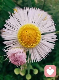 這個世界上，沒有誰的付出是理所當然的。懂得感恩，才能擁抱溫暖。人有感恩之心，幸福也會不請自來。感恩父母的養育，感恩師長的教誨，感恩朋友的關懷，感恩愛人的陪伴，感恩貴人的提點，感恩每一次遇見，感恩所有對我好的人。讓我們一起銘記!!配圖