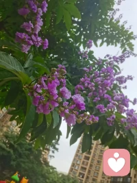 這個世界上，沒有誰的付出是理所當然的。懂得感恩，才能擁抱溫暖。人有感恩之心，幸福也會不請自來。感恩父母的養育，感恩師長的教誨，感恩朋友的關懷，感恩愛人的陪伴，感恩貴人的提點，感恩每一次遇見，感恩所有對我好的人。讓我們一起銘記!!配圖