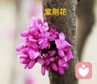 我知道種善因，方能結(jié)善果，積善之家必有余慶……從此刻起：我要通過(guò)孩子的問(wèn)題，找出我自己的問(wèn)題，修正我自己，因?yàn)槲抑篮⒆铀械膯?wèn)題，都是我的問(wèn)題，我是一切的根源，也是一切的答案；我要成為孩子生命中最好的朋友，最親密的伙伴，做一位慈祥的、智慧的媽媽??配圖