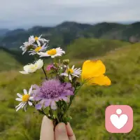 問題大多出在認知上，學習能提高自己的認知，減少偏執，把困惑處理掉，一切OK。配圖