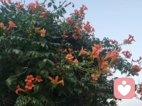 問題大多出在認知上，學習能提高自己的認知，減少偏執，把困惑處理掉，一切OK。配圖