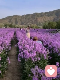 能承受醫生的針扎，病才有可能痊愈;能聽得進逆耳的忠言，我們才有成長的可能性，否則，就是繼續在“舒適”的痛苦中或是躺平、或是對抗、或是打轉、甚至懟天懟地懟空氣，哪兒也不順他的眼，什么也不隨他的意。配圖