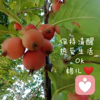 寬容，是對自己涵養的修煉，偶爾計較，是告訴別人我不傻。前者是格局，后者是底線。在相互尊重的條件下,我是個有禮貌的人。如果哪天我失禮了,那么請你先照照鏡子……配圖