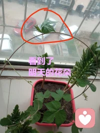 分享一首，我讀了無數次的小詩《愛的接納》:請不要在我痛苦的時候告訴我要快樂；請不要在我軟弱的時候告訴我要堅強；請不要在我生氣的時候告訴我要平和痛苦與快樂，軟弱與堅強，生氣與平和,它們是一枚硬幣的一面與另一面。請問，有誰見過只有一面的硬幣么？如果，你真的想幫助的話請給我時間與空間讓我與它們同在我會感謝你的尊重；如果，你能全然的感受它們并接納我就能體會到---你深深的愛。????希望伙伴們也喜歡這首詩《愛的接納》配圖