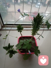 家是愛、歡樂和笑殿堂，我們把家看的有多重，就會有多少福氣，您信嗎？??配圖