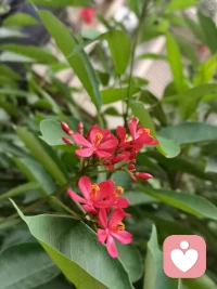 專注忘我地，去做我應該做的事情。比如:專注地聽著歌、準備著中午飯，11點多要去接孩子等，每一個瞬間都彌足的珍貴。配圖