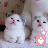 孩子哭泣是自我釋放的過程，允許孩子哭，是為人父母最好的溫柔。傷心時，可以自己哭泣，但是在別人肩膀上哭泣的治療效果卻更好。這就是為什么不要讓孩子回房間自己哭，也不要讓他自己哭到睡著的原因。盡可能在孩子哭的時候陪著、傾聽、愛撫，甚至不需要家長的任何語言，眼神和肢體足以表達出對孩子的愛和支持。配圖