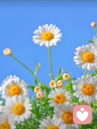 共同成長的陪伴::董卿說過：想要孩子成為什么樣的人，首先你就要成為什么樣的人。我們陪伴孩子的過程，就是給孩子做好榜樣的過程。以身作則，言傳身教，是我們能給孩子最好的教育。向優(yōu)秀的父母學(xué)習(xí)，在陪伴孩子學(xué)習(xí)的過程中也在不斷進(jìn)步與成長，努力跟上孩子的步伐……孩子的速度更快，我們要大步才能跟上呢!配圖