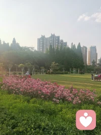 我剛剛看到的，還在深深的思考中:生命的意義到底是什么?答:生命的意義就是覺醒，然后再幫助別人覺醒????配圖