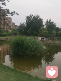 父母是孩子的鏡子，如果父母內在彌漫的是焦慮、不安、恐慌，那么孩子在他的內在，在他的身體里，同樣也會感受到這種恐慌、不安和焦慮的感受。然后孩子就會對自己產生我不夠好，我不夠可愛······配圖