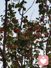 請相信:熬過巨大的痛苦，一定會有翻天覆地的變化，所以說“一切都是最好的安排”配圖