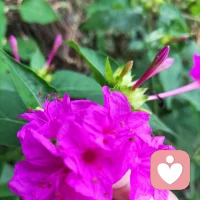 知道嗎？我們的身體擁有非常強大的:自我修復能力、自我療愈能力、自我適應能力、自我覺醒能力、自我救贖能力......身體有自動優化的功能??配圖