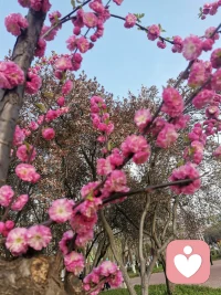 毀掉一個女孩兒往往都是從爸爸開始的。要想培養(yǎng)出來一個開朗、優(yōu)秀又自信的女孩兒，請有女兒的爸爸們一定要記住一個關(guān)鍵點。要多肯定你的女兒，因為爸爸的肯定和贊美對女兒來說至關(guān)重要。爸爸的肯定可以讓女兒更自信，更開朗。面對異性的時候呢，總是能底氣十足，自信滿滿。很多優(yōu)秀的女孩兒就是因為從小沒有被爸爸夸過，所以在男人面前特別沒自信，幾句好話就能夠把她感動得一塌糊涂。配圖