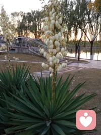 我能為你做點什么？配圖