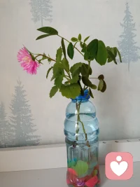 ??與自己和解，才是人生最好的治愈??配圖