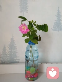 ??與自己和解，才是人生最好的治愈??配圖