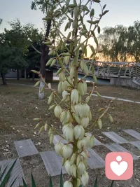 家最好的樣子：勤翻書!少翻臉!懂翻篇!配圖