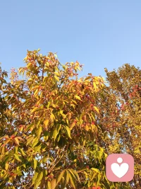 好的愛情，會讓人成為更好的自己!!當你投入一段感情后，不僅變得溫柔開朗，更因為有對方的陪伴，讓你對世界、對生活充滿熱情和期待，那就說明你愛對了人。配圖