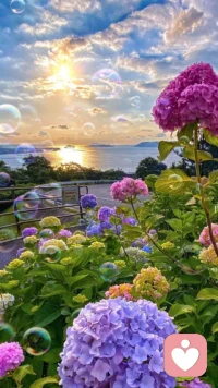 愛自己，跟誰在一起，誰都會愛你;不愛自己，跟誰在一起，誰都會不愛你。所以，愛自己跟誰在一起都一樣，同樣，不愛自己跟誰在一起也一樣……他人怎么對我，是我讓的、我教會的。伙伴們!我說明白了嗎??配圖