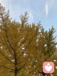 一個人的語言，積極詞匯是他思想的養分和原材料。積極詞匯越多，他的能量層級越高，命運體現在每個人的日常話語中，請留意我們每天說出去話。配圖