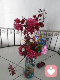 為什么要學(xué)習(xí)幸福心理呢？答:是為了讓自己生活更輕松，更愉悅，讓自己的幸福滿意度更高，也讓靠近我們的人更溫暖、更歡喜。配圖