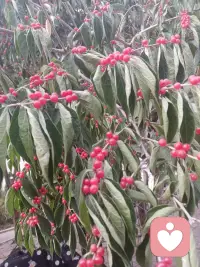 父母經常吵架甚至于大打出手，孩子生活在不安和恐懼中，就會敏感，孤僻，沒有安全感，甚至于這種感覺會真實地伴隨他們的一生，我想說:一個家，好的夫妻關系，對孩子來說是頂級的愛。??配圖