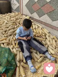 父母經常吵架甚至于大打出手，孩子生活在不安和恐懼中，就會敏感，孤僻，沒有安全感，甚至于這種感覺會真實地伴隨他們的一生，我想說:一個家，好的夫妻關系，對孩子來說是頂級的愛。??配圖