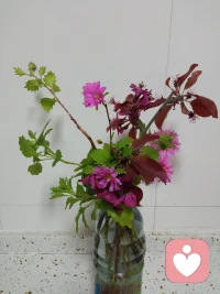 分享我的學習筆記::“愛“，媽媽足夠愛爸爸，孩子有敬畏心，他不會挑戰權威;爸爸足夠愛媽媽，孩子有責任心，遠離受害者的心態;百財不入，皆因虧愛。配圖