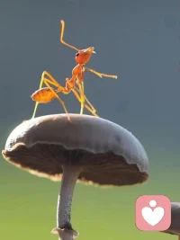 分享我的學習筆記::“愛“，媽媽足夠愛爸爸，孩子有敬畏心，他不會挑戰權威;爸爸足夠愛媽媽，孩子有責任心，遠離受害者的心態;百財不入，皆因虧愛。配圖