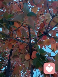 我的體悟::關(guān)注正面的事，關(guān)注90%的優(yōu)點(diǎn)，而不再是關(guān)注10%的缺點(diǎn)，時(shí)間久了就會(huì)養(yǎng)成積極正向的思維模式，我行你也行!讓我們共振這份愛的能量！??配圖