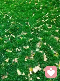 歌曲《對不起，請原諒，謝謝你，我愛你》，是一首唱給自己的歌，很有觸動，凈化自己的心靈哦！配圖