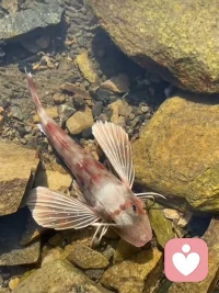 世間所有愛(ài)的起點(diǎn)一定是從愛(ài)自己的父母開(kāi)始，有一句話，你和父母的關(guān)系就是你和世界的關(guān)系，和原生家庭”子親“關(guān)系和諧了，核心家庭的“親子”關(guān)系就不會(huì)差，伙伴們認(rèn)同嗎？??配圖