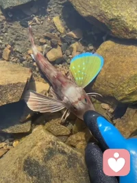 世間所有愛(ài)的起點(diǎn)一定是從愛(ài)自己的父母開(kāi)始，有一句話，你和父母的關(guān)系就是你和世界的關(guān)系，和原生家庭”子親“關(guān)系和諧了，核心家庭的“親子”關(guān)系就不會(huì)差，伙伴們認(rèn)同嗎？??配圖