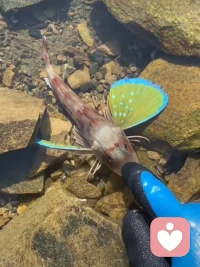 世間所有愛(ài)的起點(diǎn)一定是從愛(ài)自己的父母開(kāi)始，有一句話，你和父母的關(guān)系就是你和世界的關(guān)系，和原生家庭”子親“關(guān)系和諧了，核心家庭的“親子”關(guān)系就不會(huì)差，伙伴們認(rèn)同嗎？??配圖