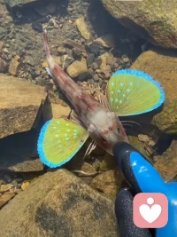 世間所有愛(ài)的起點(diǎn)一定是從愛(ài)自己的父母開(kāi)始，有一句話，你和父母的關(guān)系就是你和世界的關(guān)系，和原生家庭”子親“關(guān)系和諧了，核心家庭的“親子”關(guān)系就不會(huì)差，伙伴們認(rèn)同嗎？??配圖