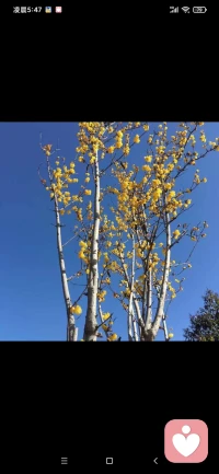 我們一起思考::想法和信念背道而馳，我想得到美好的，但是我不相信。想法和信念保持和諧一致，合二為一，就一定能實(shí)現(xiàn)。頭腦層面脖子以上的叫知，脖子以下全身各處叫行，知行合一，就一定能實(shí)現(xiàn)。配圖