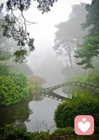 ??接受批評法：對重要他人的批評，安裝一個分辨程序，有益的留下，沒有意義的就扔掉，他批評你，也許是他內心匱乏或者此刻有情緒需要宣泄。配圖