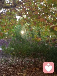 ??自由是通過自律來實現的;享受是通過承受來實現的。這就是真相??配圖