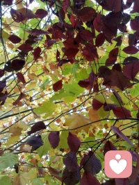 ??自由是通過自律來實現的;享受是通過承受來實現的。這就是真相??配圖