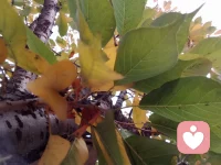 大事見格局，細節看人品！世界本無事，一切在人心！做人一定要懂得感恩，要善良，剩下的交給老天和時間！配圖