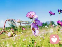 分享學(xué)習(xí)筆記::＂愛＂是世界上最大的能量，如果你不相信愛，就無法鏈接＂愛的能量＂。愛需要表達，愛需要付出！愛需要被看到，愛需要經(jīng)營！愛需要儀式感！配圖