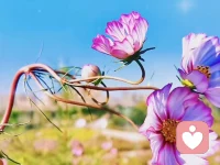 分享學(xué)習(xí)筆記::＂愛＂是世界上最大的能量，如果你不相信愛，就無法鏈接＂愛的能量＂。愛需要表達，愛需要付出！愛需要被看到，愛需要經(jīng)營！愛需要儀式感！配圖