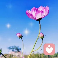 分享學(xué)習(xí)筆記::＂愛＂是世界上最大的能量，如果你不相信愛，就無法鏈接＂愛的能量＂。愛需要表達，愛需要付出！愛需要被看到，愛需要經(jīng)營！愛需要儀式感！配圖