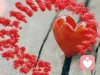 真相::期待是傷害，接納是幸福。如果你想從其他人身上得到認可、愛或尊敬，你會受苦。如果你想給其他人的是認可、愛或尊敬，你將會快樂、慈悲而且自由。配圖