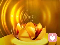 一切在心，每個人心里都有一朵金色的蓮花，“我”是一切的根源，做好自己該做的，感恩、善良，剩下的交給老天和時間，世界終將溫柔以待于“我”。配圖